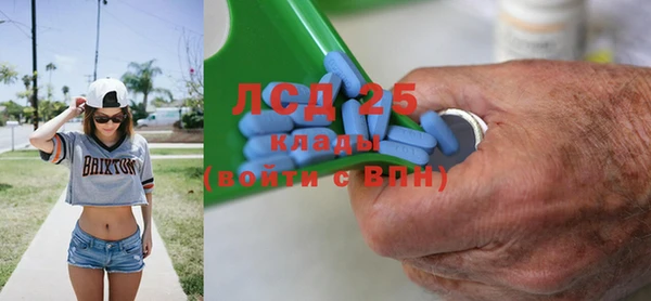 винт Верея